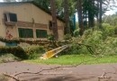 Parque de Exposições é fechado temporariamente após queda de árvores e postes
