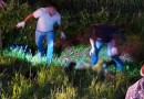 Homem sofre ferimentos graves em atropelamento na PR-475, condutor fugiu do local