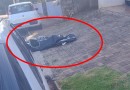 Homem é morto a tiros em frente a mercearia no Jardim Floresta