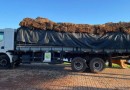 BPfron apreende caminhão carregado de fumo