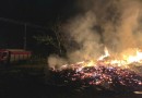 Incêndio em vegetação é registrado no interior de Francisco Beltrão