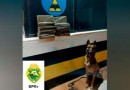 Adolescente é apreendido transportando mais de 13 Kg de maconha em Realeza