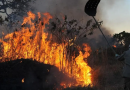 MPF aciona justiça para contratação de brigadistas contra incêndios