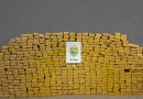 Operação integrada apreende quase 500 quilos de maconha e prende três homens em Pinhão