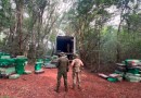 Polícias Militar e Federal apreendem mais de cinco toneladas de maconha no Oeste