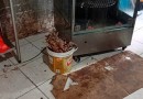 Cozinha de restaurante é interditada por falta de higiene