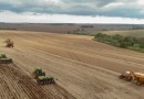 Com projeção de 14,4 milhões de toneladas, Paraná inicia plantio da 2ª safra de milho