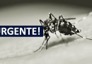 Francisco Beltrão registra mais duas mortes por conta da dengue