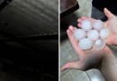 Chuva de granizo causa estragos e mobiliza Defesa Civil
