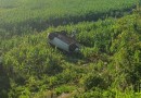 Capotamento é registrado na PR 180