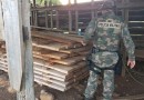 PMA apreende depósito irregular de madeira nativa