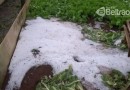Chuva de granizo atinge propriedade em Beltrão