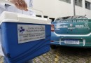 Maior doador do País, Paraná celebra mês de conscientização para doação de órgãos