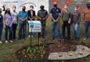 Lideranças realizam plantio de arvore símbolo de Marmeleiro