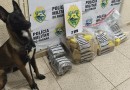 Polícia Militar apreende mais de 30 quilos de maconha