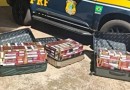 Malas recheadas com cigarro de luxo são apreendidas em Catanduvas