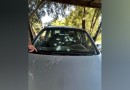 Idoso de 83 anos é preso por tentativa de triplo homicídio