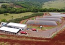 Copel comemora adesão de 53 empresas na chamada pública de hidrogênio verde