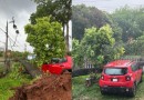 Temporal provoca grandes estragos em Francisco Beltrão e Marmeleiro