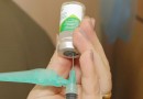 Paraná libera vacinação contra gripe para todas as pessoas acima de seis meses de idade