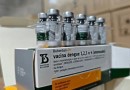 Paraná disponibiliza 31,5 mil doses da vacina contra a dengue para profissionais da saúde