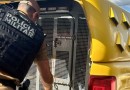 Polícia Militar cumpre mandado de prisão por roubo