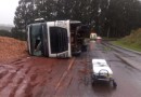 Caminhão tomba na PR 180 e motorista fica ferido