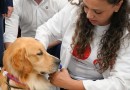 Projeto Patas que Acolhem começa a funcionar