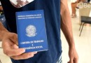 105 vagas de emprego disponíveis na Agência do Trabalhador