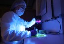 Orçamento recorde: Estado destinará R$ 708,9 milhões para ciência e tecnologia em 2024