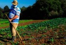 Reativado, programa de crédito fundiário viabiliza compra de terras no Paraná
