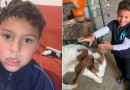 Buscas por menino autista desaparecido entram no segundo dia