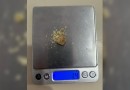Polícia Militar prende homem suspeito de tráfico de drogas