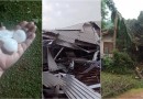 Temporal causa destelhamentos e quedas de árvores na região