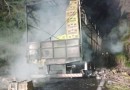 Caminhão carregado com frangos pega fogo na BR-280 em Renascença
