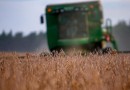 Paraná deve produzir 21,12 milhões de toneladas de grãos na safra de verão 2023/2024