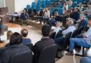 Deriva de herbicidas pode provocar grandes perdas na produção de uvas