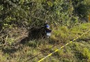 Adolescente morre após acidente de moto na PR-481