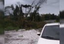 Tempestade com granizo causa danos na agricultura e na infraestrutura no Sudoeste