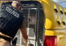 Grupo é preso em Chopinzinho por uso de documentos falsos em tentativa de golpe na Caixa Econômica Federal