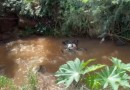 Moto vai parar dentro de rio após acidente que deixou motociclista gravemente ferido