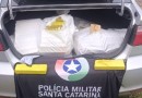 Casal é preso com quase 200 quilos de maconha em motel