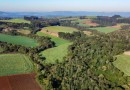 Com protagonismo ambiental, Paraná é o terceiro estado mais competitivo do Brasil