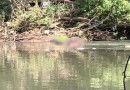 Segundo corpo é encontrado no Rio Marrecas nesta quinta-feira (01)