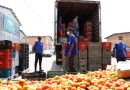 Banco de Alimentos Comida Boa distribuiu quase 6 mil toneladas de hortigranjeiros em 2022