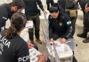 Polícia Civil deflagra grande operação contra o tráfico de drogas