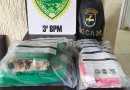 Motorista é preso com mais de 3 kg de drogas na PRC-280