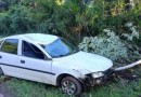 Condutor colide em árvore na PR-180 entre Francisco Beltrão e Marmeleiro