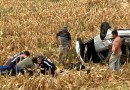 Acidente na PR-158 deixa jovem ferida em Coronel Vivida