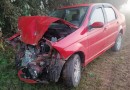 Carro bate em plantadeira e deixa mulher e criança feridas